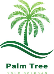 Fototapeta premium Vector beautiful palm tree design with white background 