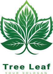 Vector beautiful tree leaf design with white background 