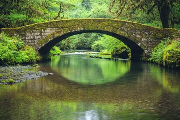 Fototapeta premium Serene old moss-covered bridge crossing a tranquil stream lush forest surrounding nature photography peaceful landscape aesthetic viewpoint timeless connection to nature
