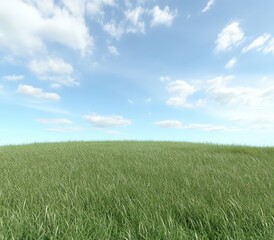 Obraz premium A grassy field with a blue sky and white clouds in the back