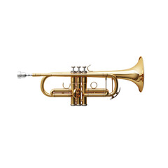 Obraz premium Gleaming Brass Trumpet on a Black Background for Musical Themes