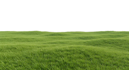 Fototapeta premium green grassland landscape isolated on white