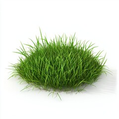 meadow with short, neatly trimmed grass, isolated on a bright white background