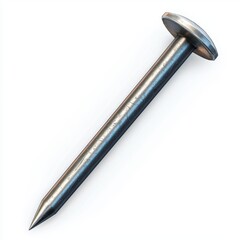 single iron nail with a sharp point and flat head, isolated on a clean white background