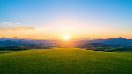 A beautiful, sunlit field with a clear blue sky