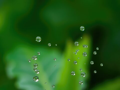 observe the intricate dance of salam drops as they interact with their surroundings, creating captivating visuals, beauty, harmony