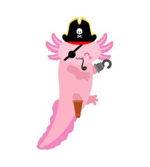 Pirate axolotl isolated. Filibuster Amphibian Salamander