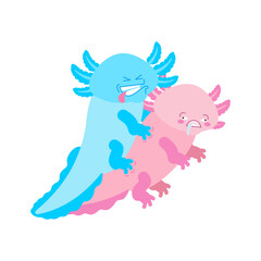 Axolotl sex. Axolotls intercourse. salamander reproduction