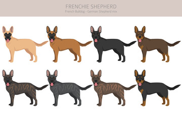 Frenchie Shepherd clipart. French Bulldog - German Shepherd mix. All possible coat colors, breed information, adults and puppies.  Vector illustration