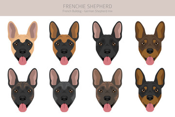 Frenchie Shepherd clipart. French Bulldog - German Shepherd mix. All possible coat colors, breed information, adults and puppies.  Vector illustration