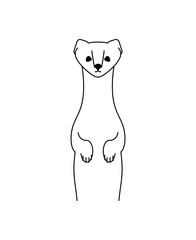 Weasel symbol icon. Ermine sign