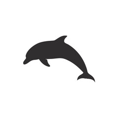 Fototapeta premium dolphin isolated on white background