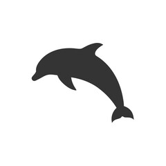 Fototapeta premium dolphin isolated on white background