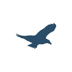 Fototapeta premium eagle in blue