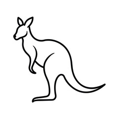 kangaroo illustration