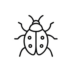 illustration of a ladybug