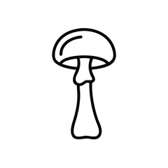 mushroom isolated on white