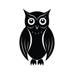 owl on white background