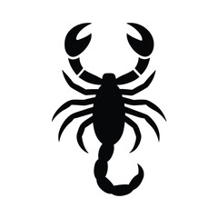 scorpion isolated on white background
