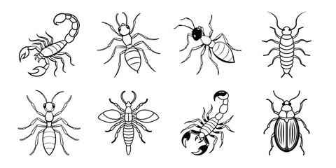 Insects liner art set. Vector illustrations poisonous insects isolated on white background