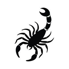 scorpion isolated on white