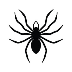 spider on a white background