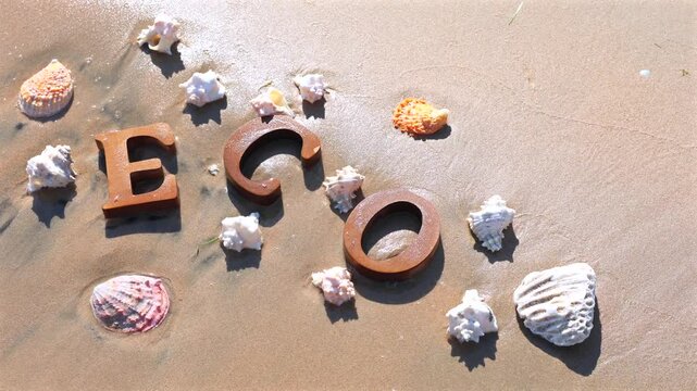 Eco letters surrounded by shells and sandy textures create tranquil beach setting, symbolizing eco connection with nature and highlighting harmony with beach and shells.