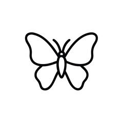 butterfly on white background