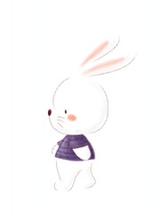 a cute bunny is walking and wearing pretty purple clothes illustration. Rabbit hand drawing cartoon character background