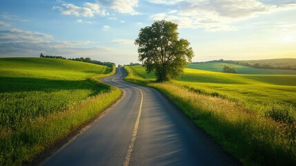 Obraz premium A deserted running track with clear lane dividers, surrounded by green fields and trees.