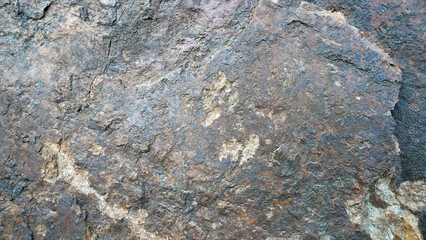 texture of stone, Natural Stone Texture with Geological Patterns and Fossil Imprints