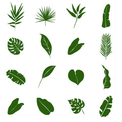 
Tropical leaves vector set. Palm leaf, coconut leaf, banana leaves, monstera, fern, Botanical and Jungle leaves design for nature background, Eco and summer banner, wallpaper, pattern and prints
