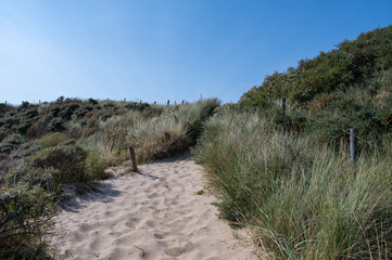 Path through the dunes with fence and beach grass on the North Sea coast