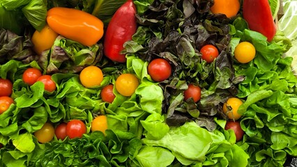 Healthy vegetable salad. Fresh vegetables.
