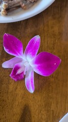 Purple orchid on a wooden table