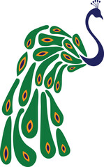 Obraz premium peacock with feathers illustrate vector design