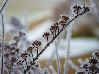 Winterstimmung im Waldviertel