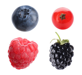 Blueberry, raspberry, blackberry and redcurrant berry isolated on white