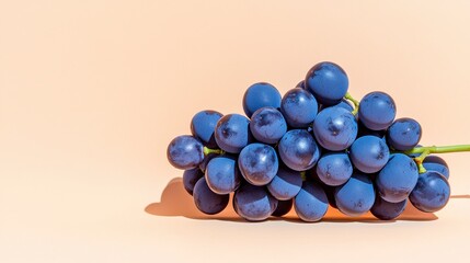 Ripe Dark Purple Grapes With Water Droplets On Beige