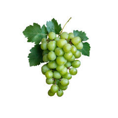 Obraz premium Fresh green grapes with green leaves isolated on transparent background