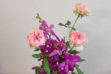 薔薇とアランダ