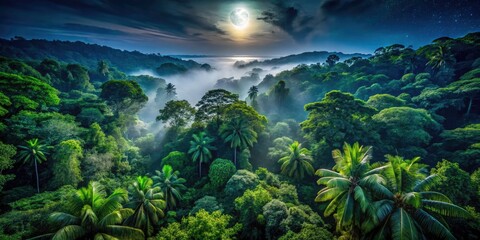 Naklejka premium Drone captures breathtaking nighttime aerial views of a dense, dark tropical rainforest's jungle canopy.