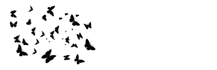 Butterfly silhouette