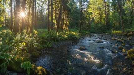 Fototapeta premium Sunlit forest stream, ferns, tranquility, nature background, travel