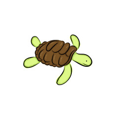 TURTLE ILLUSTRATION