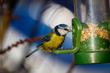 Fototapete bei efototapeten.de bestellen   