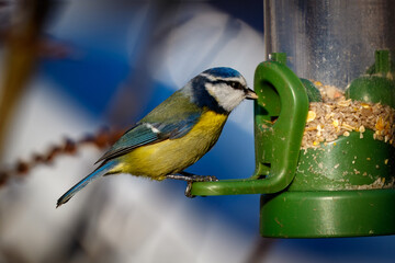 Fototapete bei efototapeten.de bestellen   