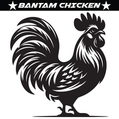 Bantam Chicken silhouette vector illustration
