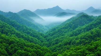 Lush Green Mountains with Misty Valleys and Serene Landscape View
