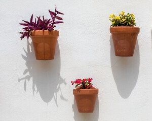 Hanging Pots in Spain